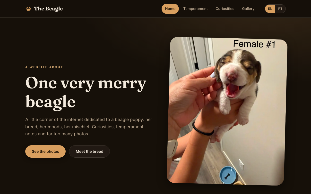 Pet Blog & Photo Gallery — Bilingual pet blog & photo gallery